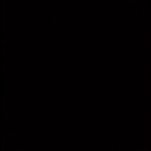 Meet your Posher, Araceli